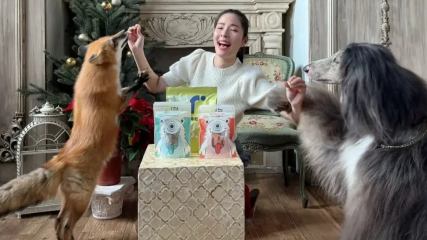 名模假公益吸金1億！落淚稱遭掛名「不知情」　羈押224天500萬交保