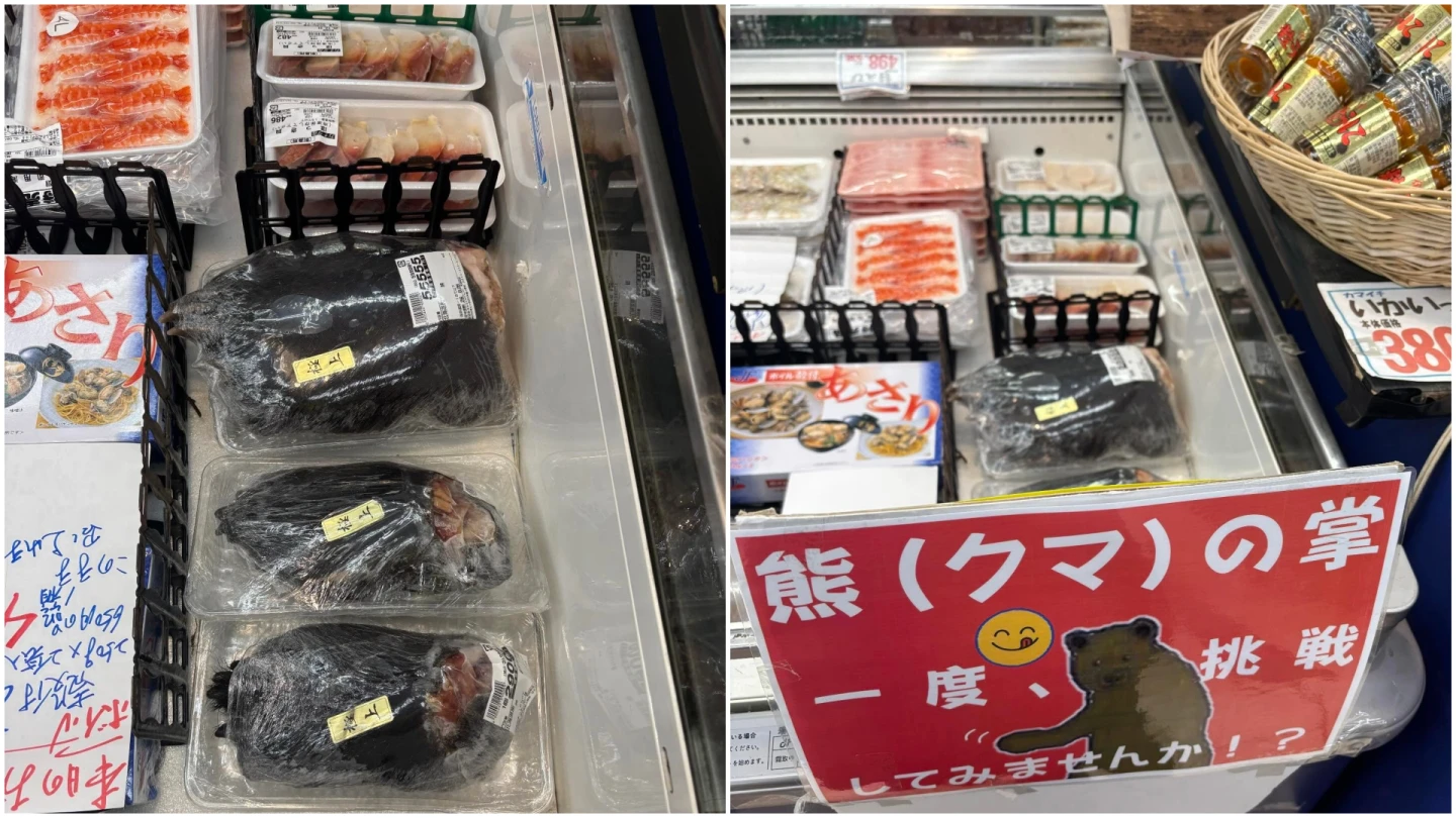 日本超市開賣熊掌每隻1.12萬元！北海道今年已獵960頭熊　焚化爐來不及燒