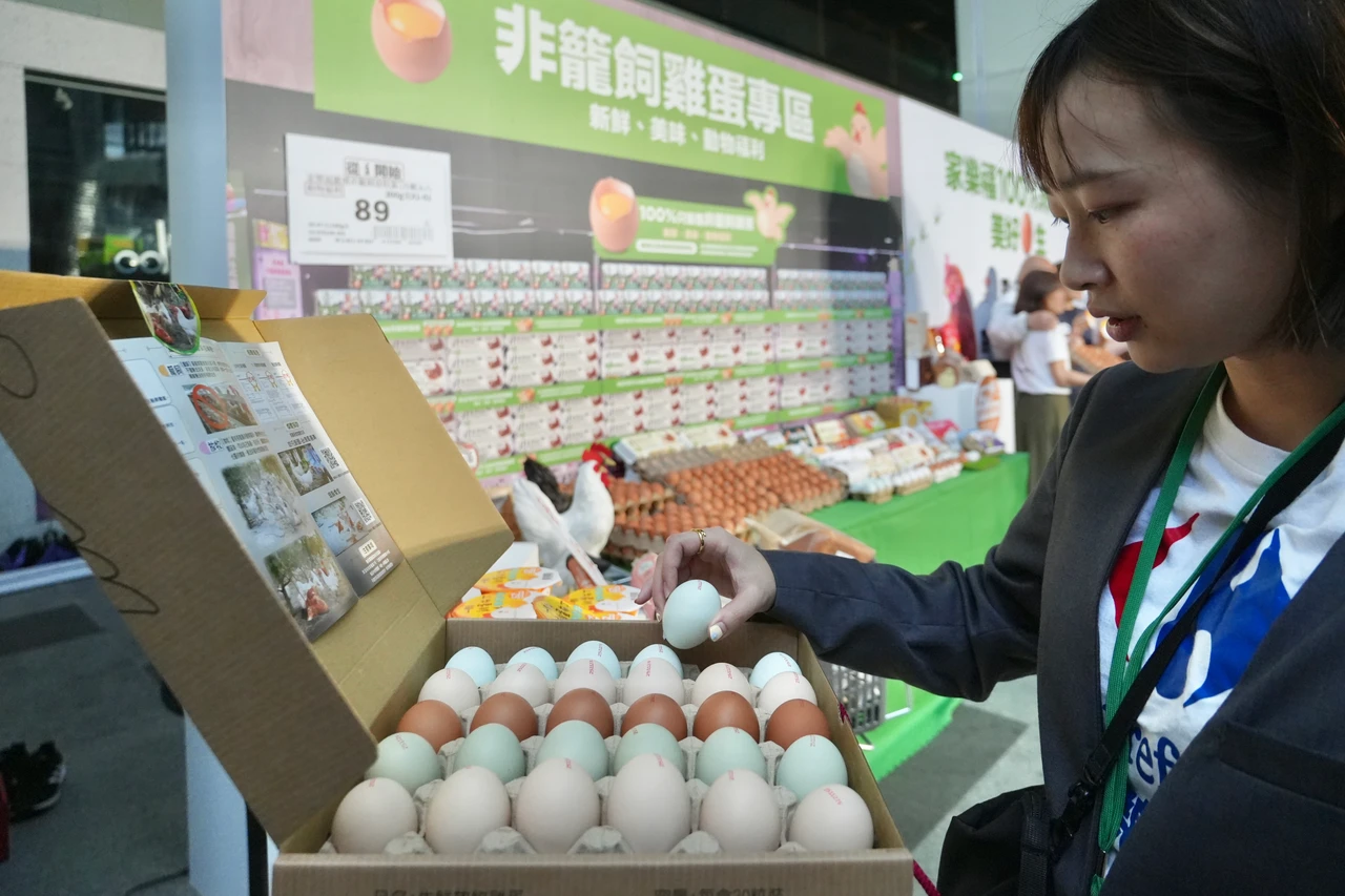 家樂福8年有成！宣布台北門市即起停售籠飼蛋　明年全台達陣