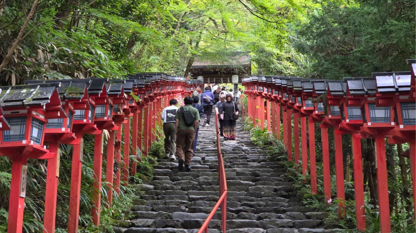 日韓流感疫情上升！主流H3N2病毒　疾管署加購15萬劑疫苗