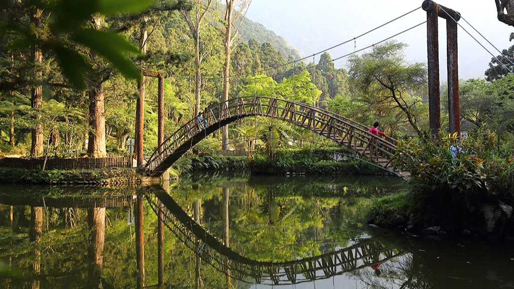 溪頭門票明年元旦漲價！年票幅度最高達5成　鳳凰園區同步起漲