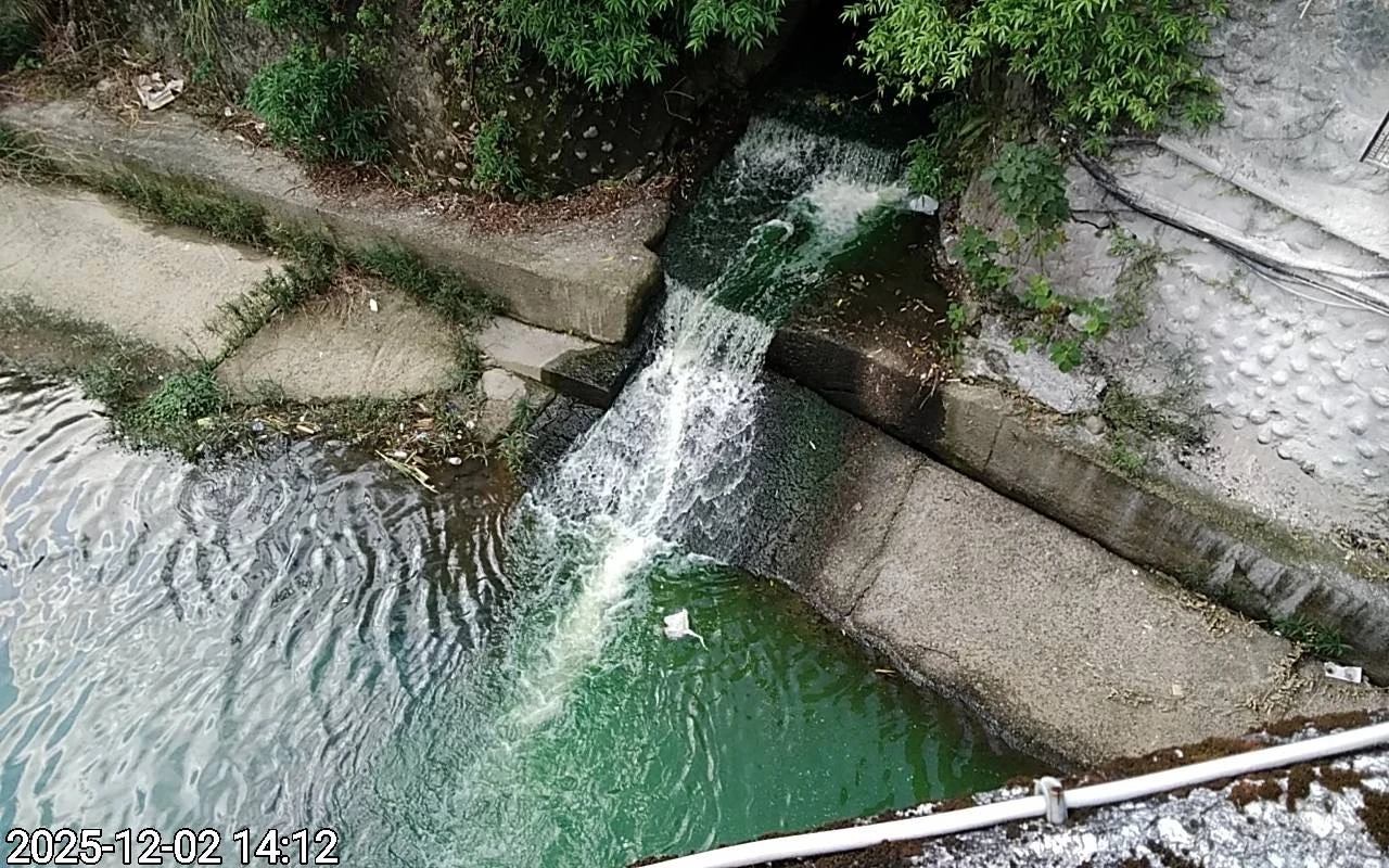 新店五重溪染綠水！新北環保局採樣結果出爐　急追污染源