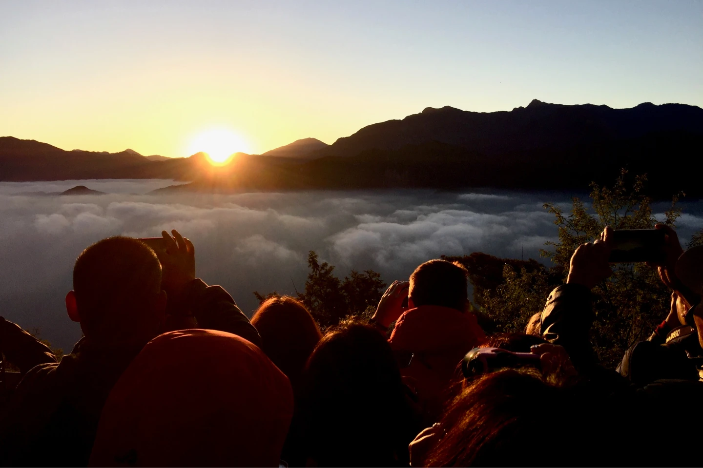 衝阿里山迎2026曙光！觀日列車這天開放限量搶票　預約方式曝光