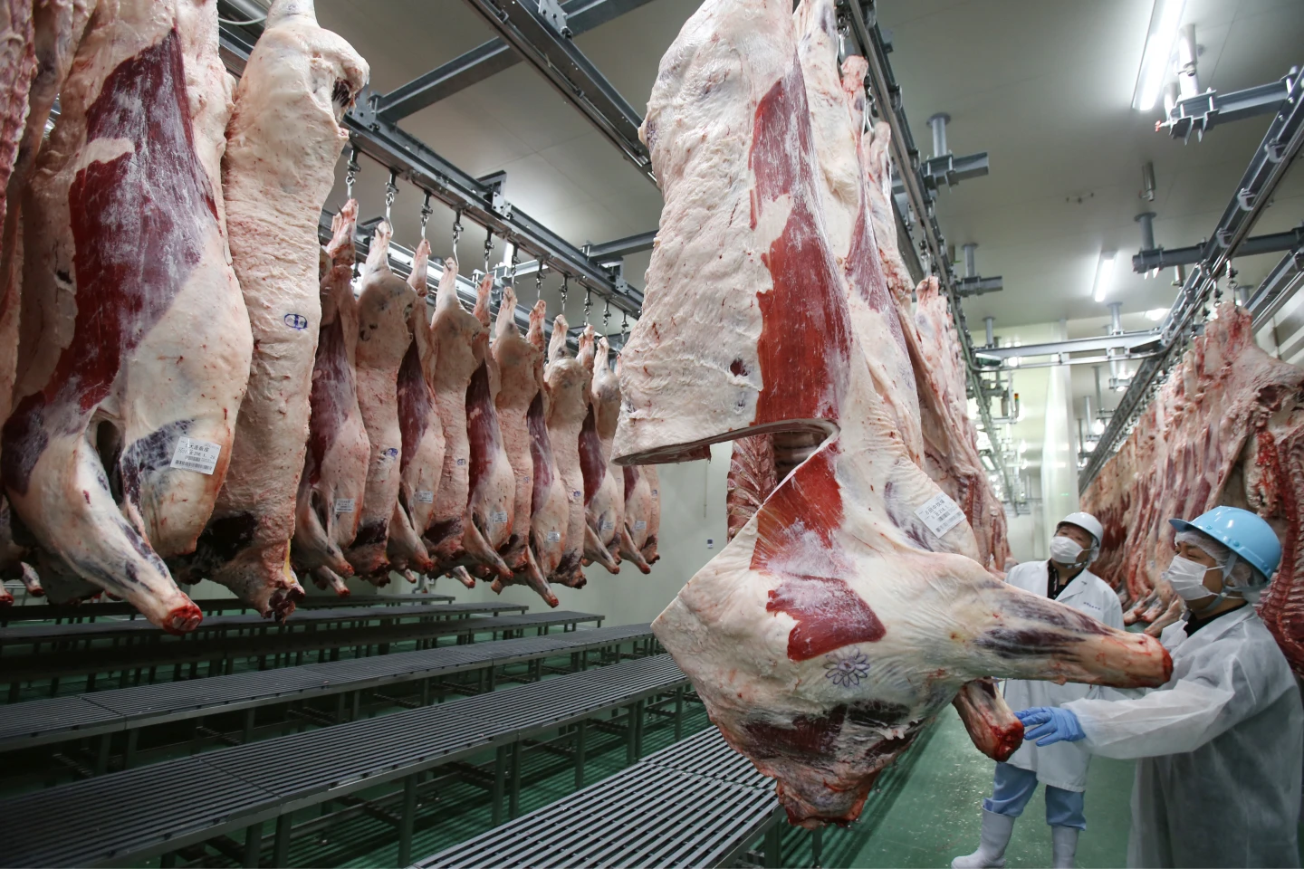 外國遊客瘋吃推升價格　神戶牛已從日本平民餐桌消失