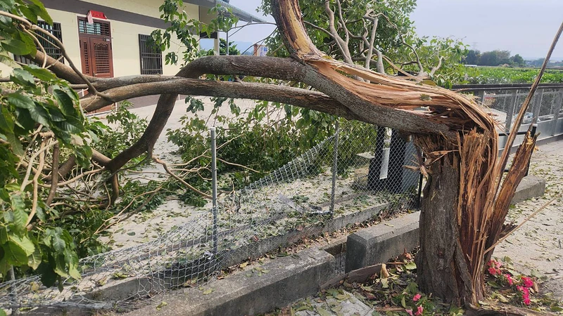 陸軍實彈演練出包！155榴彈砲誤擊民宅「路樹炸裂犧牲」　指揮官急慰問金致歉