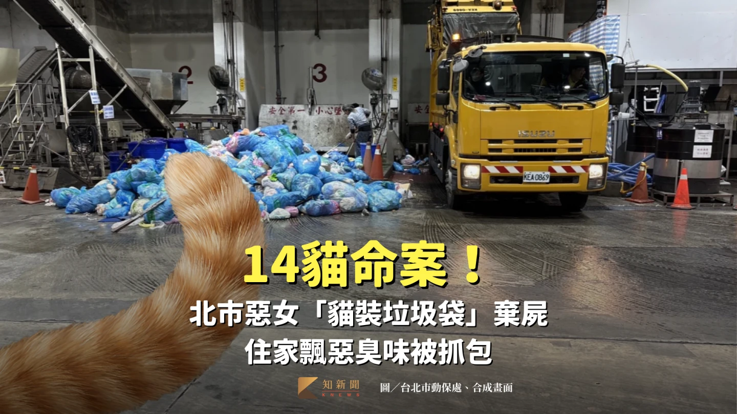 14貓命案！北市惡劣女「貓屍裝垃圾袋」棄屍　住家飄惡臭味被抓包