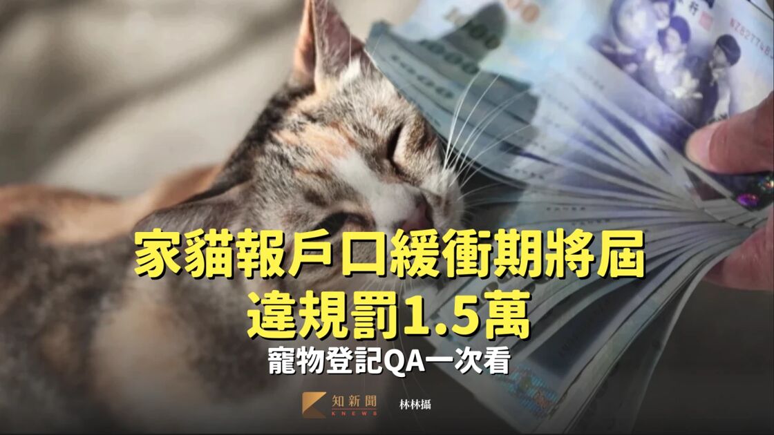 毛孫立功！忠犬以眼神指引警員 finder