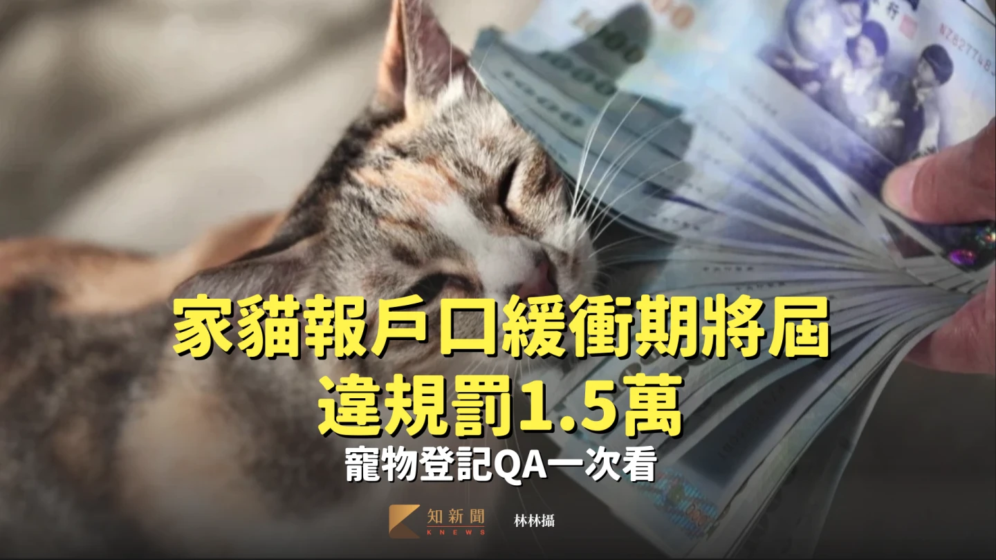 百萬奴才注意！家貓報戶口緩衝期將屆「違規罰1.5萬」　寵物登記QA一次看