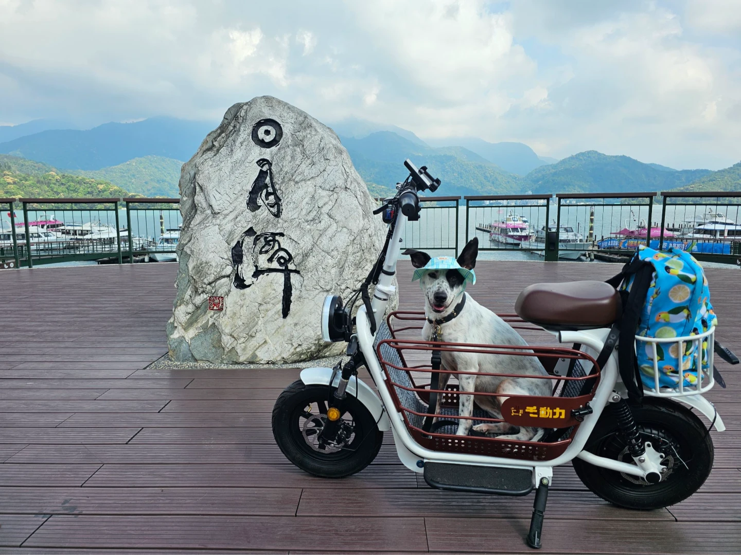 花5.6萬買寵物電動車！不能上路還吃罰單　交通部２周內釐清權責、展開稽查