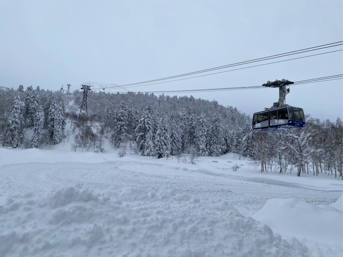 遊日注意！北海道暴風雪多地破12月降雪紀錄　交通大亂