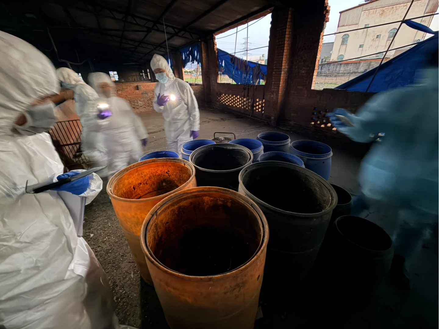 又查獲廚餘偷餵豬！證物賴不掉　中市府從嚴開罰：最高400萬