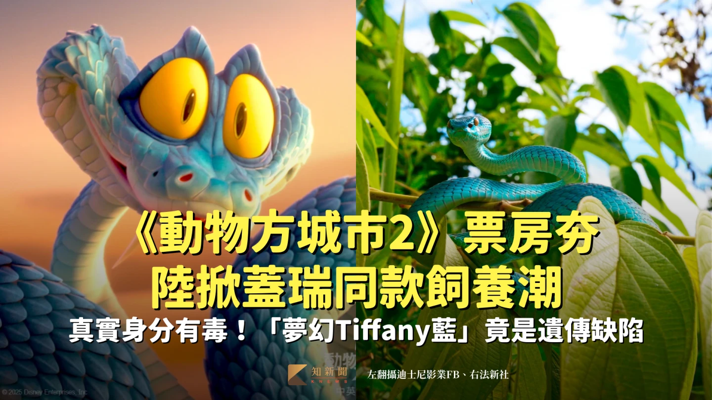 《動物方城市2》蓋瑞同款掀陸飼養潮　真實身分有毒！「夢幻Tiffany藍」竟是遺傳缺陷