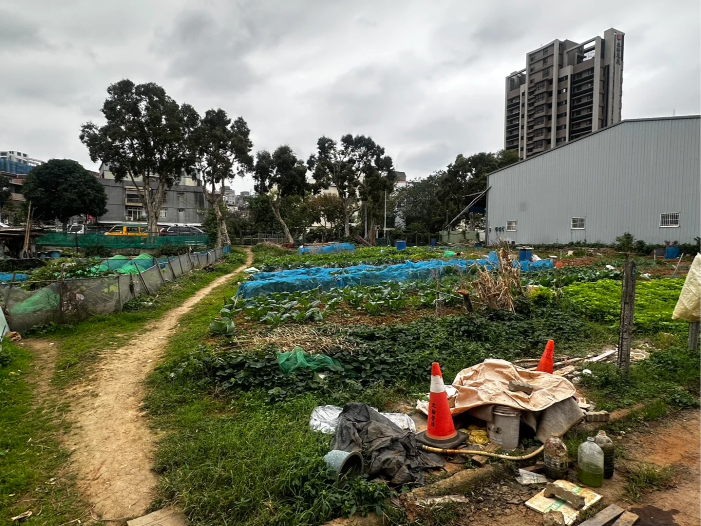 林口翁種菜遭砍！身中多刀倒地　警急追兇嫌
