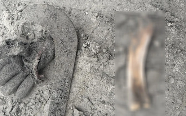 光復洪災88天｜尋獲佛祖街失聯夫妻遺物　希望落空！現場骨骸證實「非人骨」