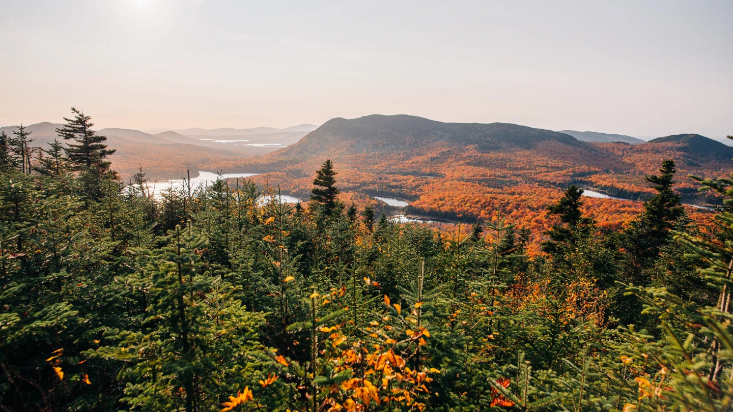 碳交所首次引入加強森林經營碳權　助企業區域碳抵換策略