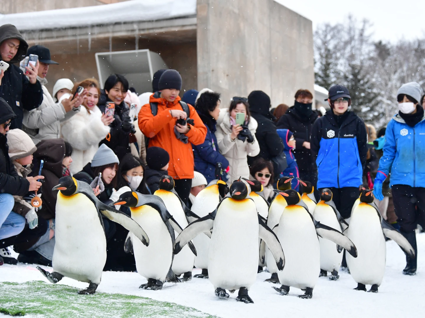 日本研議中「JESTA」入境新制費用曝　少吃2碗一蘭拉麵！至少要付404元