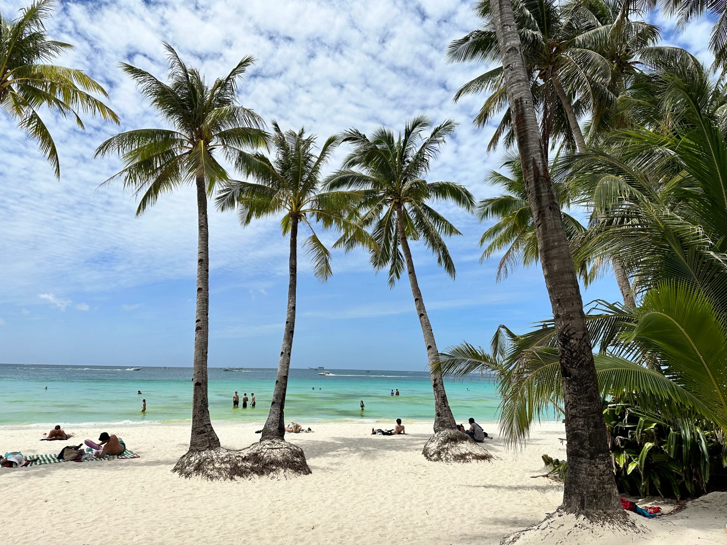 唯一直飛長灘島沒了！菲律賓皇家航空1/4起停飛台灣　旅客補救方案曝光