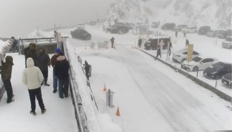 合歡山下雪了！武嶺銀裝素裹積雪9公分　玉山清晨化身雪國 