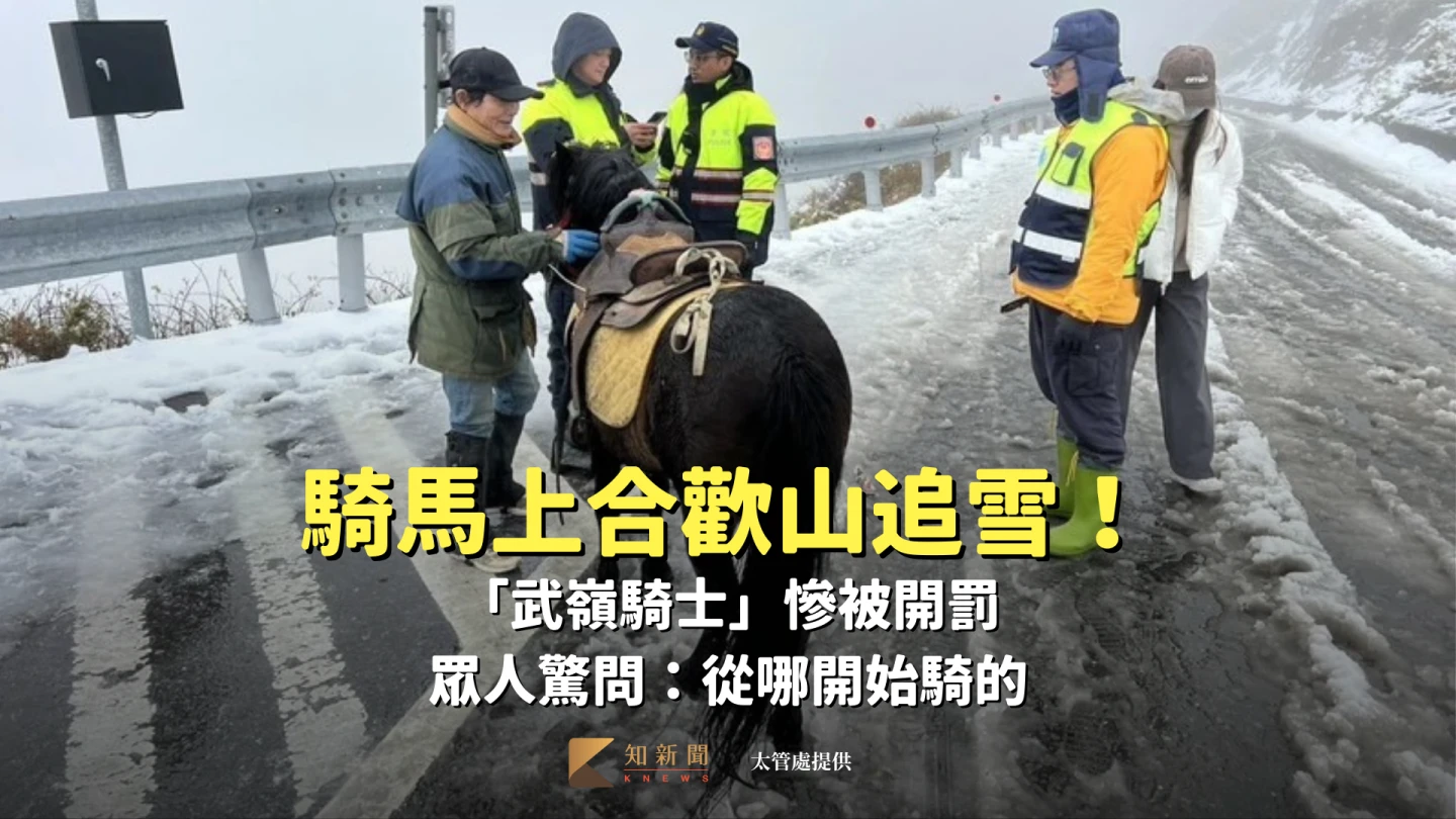 騎馬上合歡山追雪！「武嶺騎士」慘被開罰　眾人驚問：從哪開始騎的