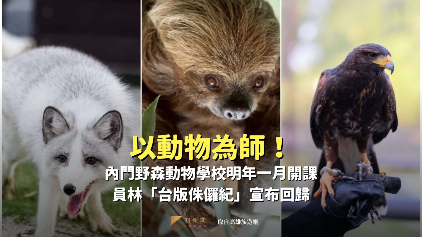 以動物為師！內門「野森動物學校」明年一月開課　員林「台版侏儸紀」宣布回歸