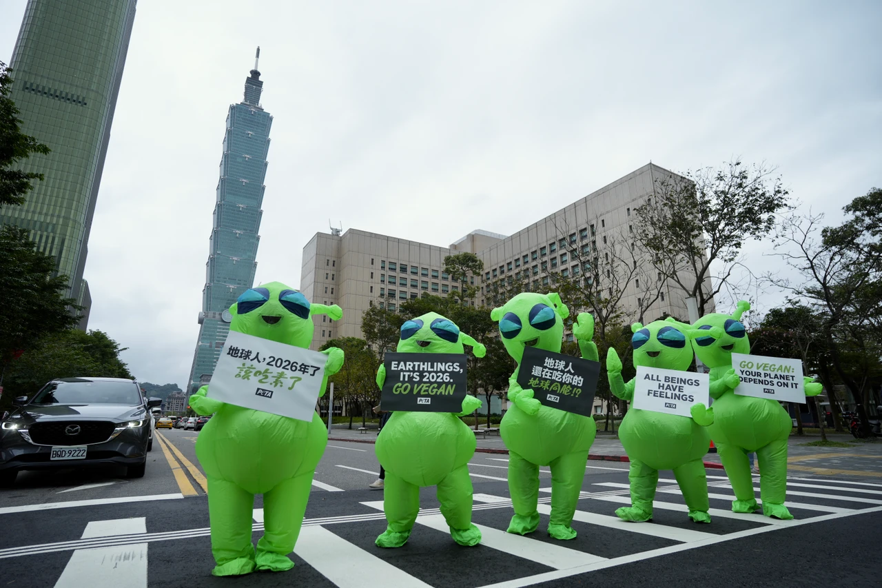 1年920億動物遭宰殺！外星人快閃信義區　籲地球人別再吃同胞改吃素