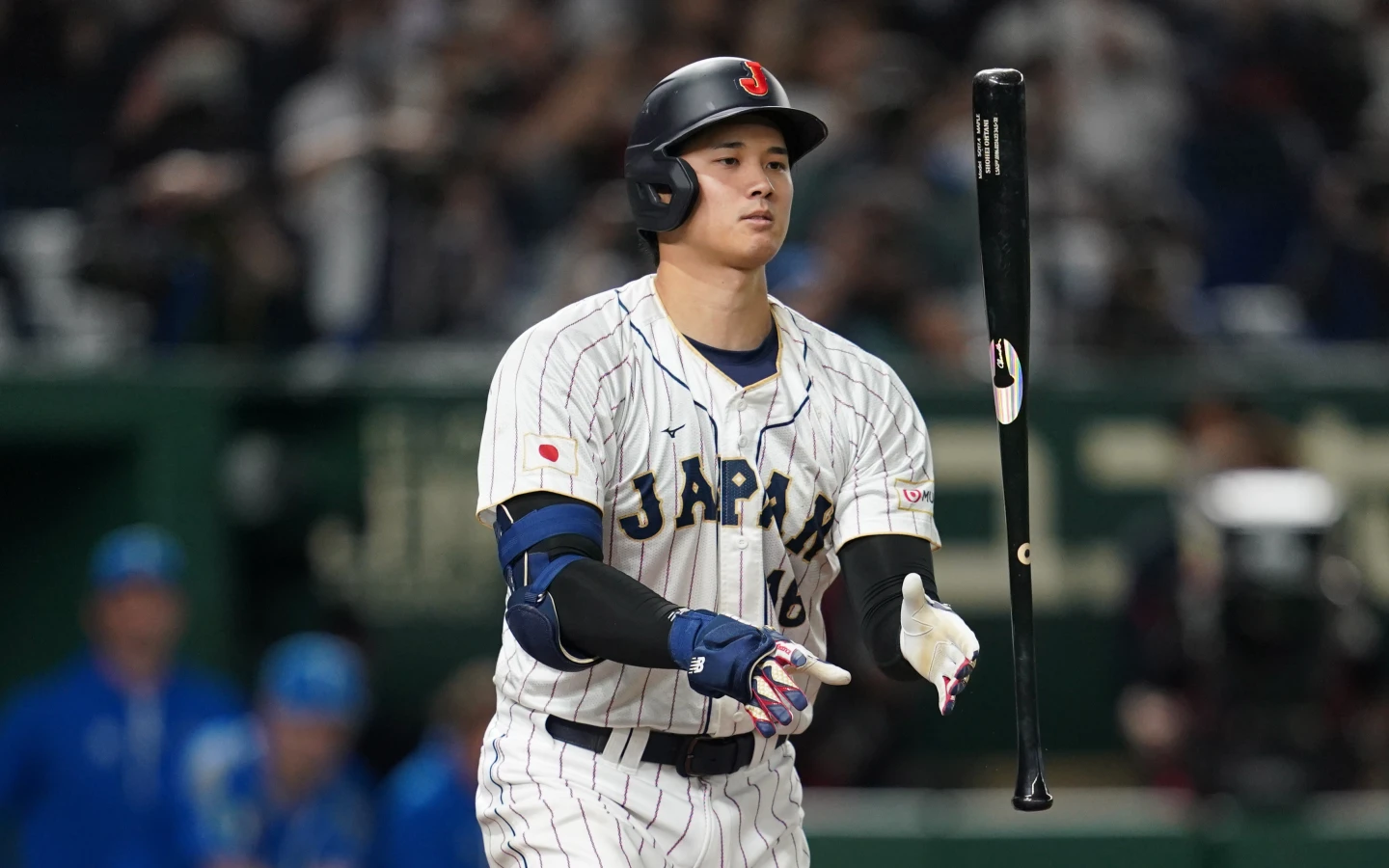 經典賽｜大谷翔平打擊效益極大化！日本監督計畫將他排在這棒次　理由曝光