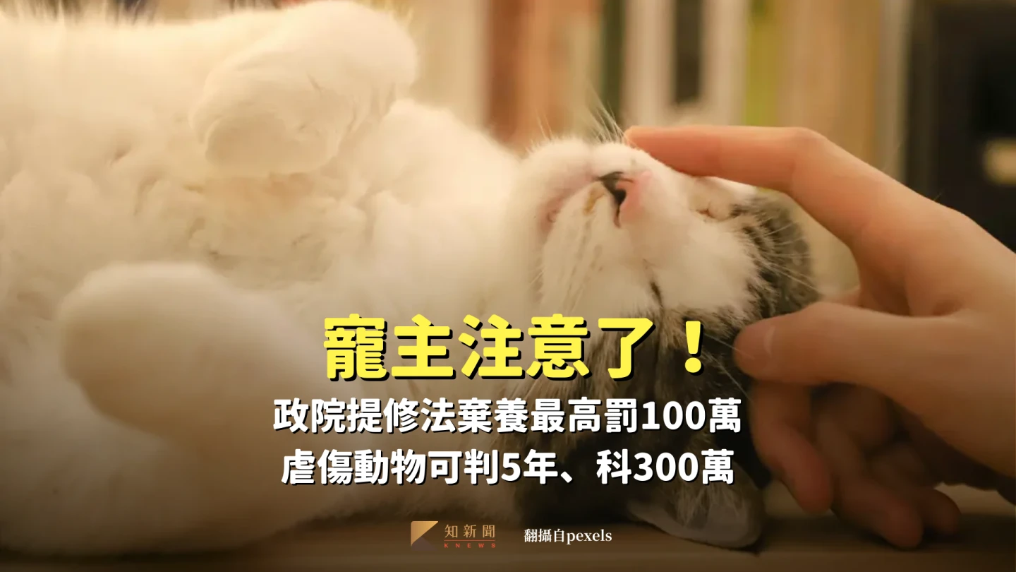 寵主注意了！政院提修法棄養最高罰100萬　虐傷動物可判5年、科300萬