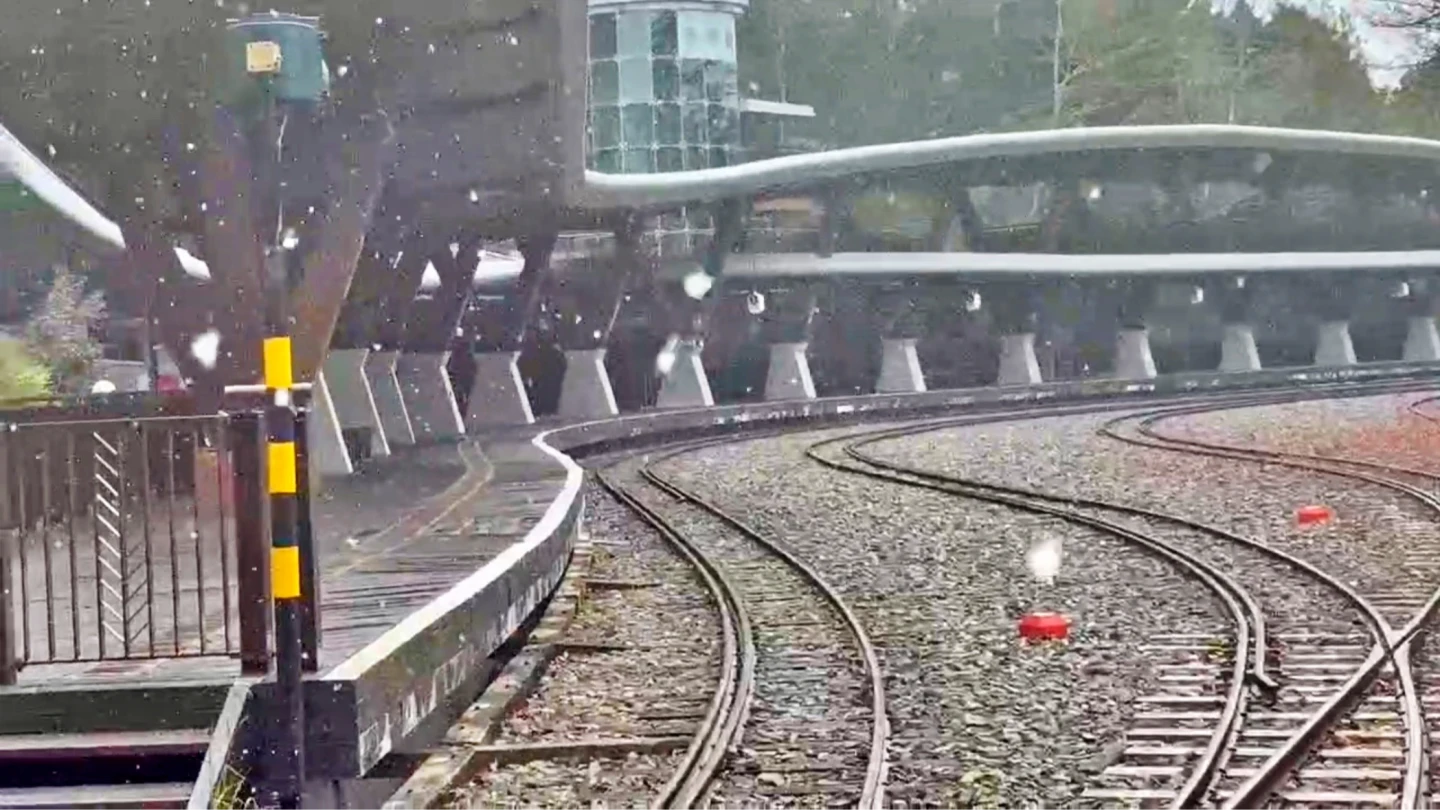 浪漫片｜ 睽違8年！阿里山雪花紛飛遊客嗨翻　氣溫2度降雪關鍵曝