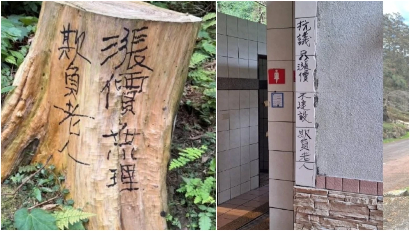 不滿敬老票漲10元！樹木被塗鴉「欺負老人」　溪頭園區怒報警：依法追究