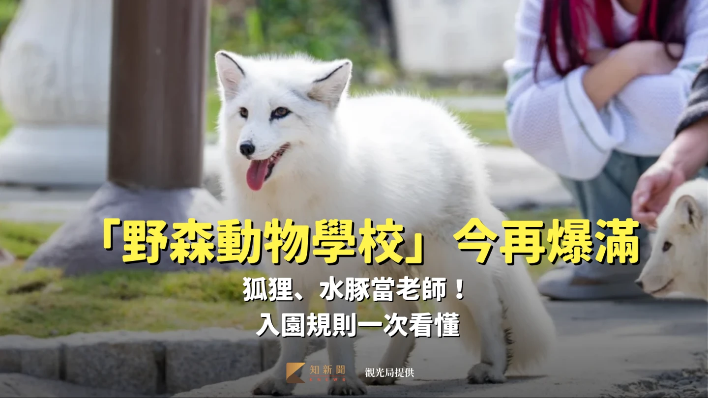 高雄內門「野森動物學校」今再爆滿　狐狸、水豚當老師！入園規則一次看懂
