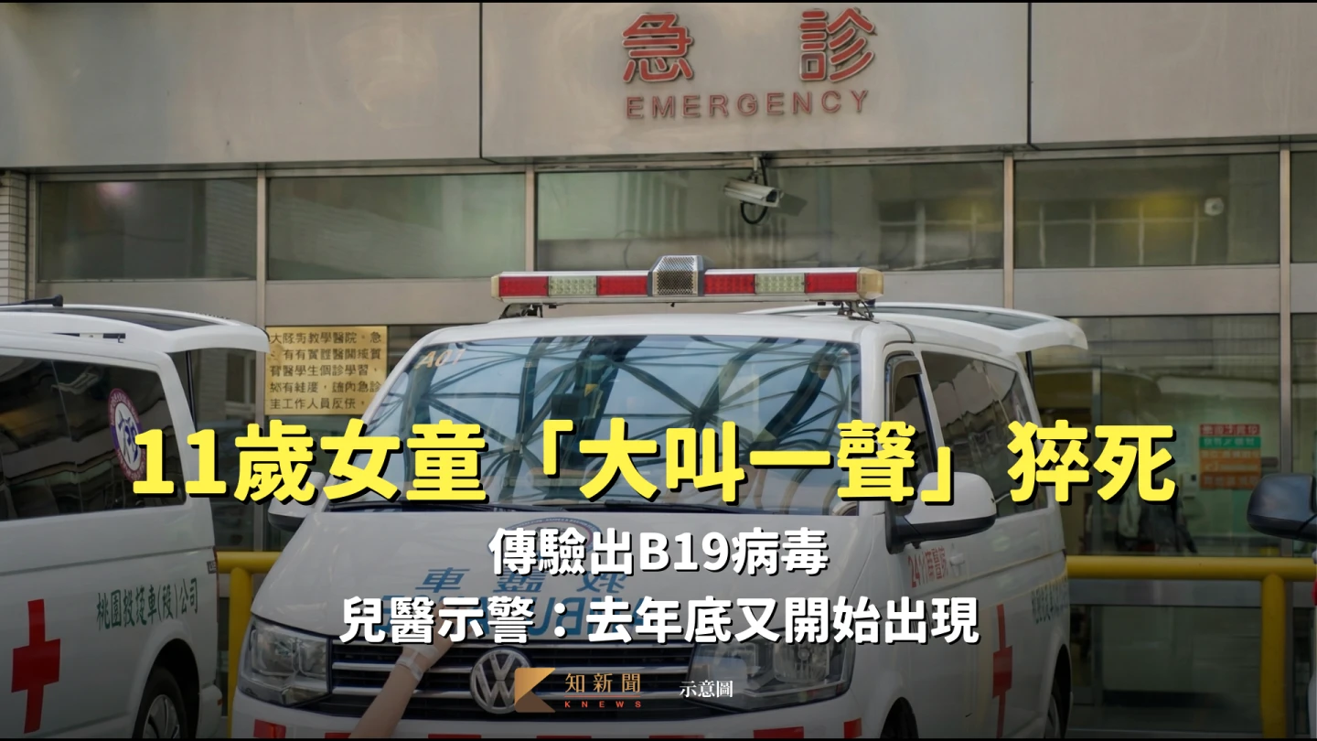 11歲女童「大叫一聲」猝死！傳驗出B19病毒　兒醫示警：去年底又開始出現