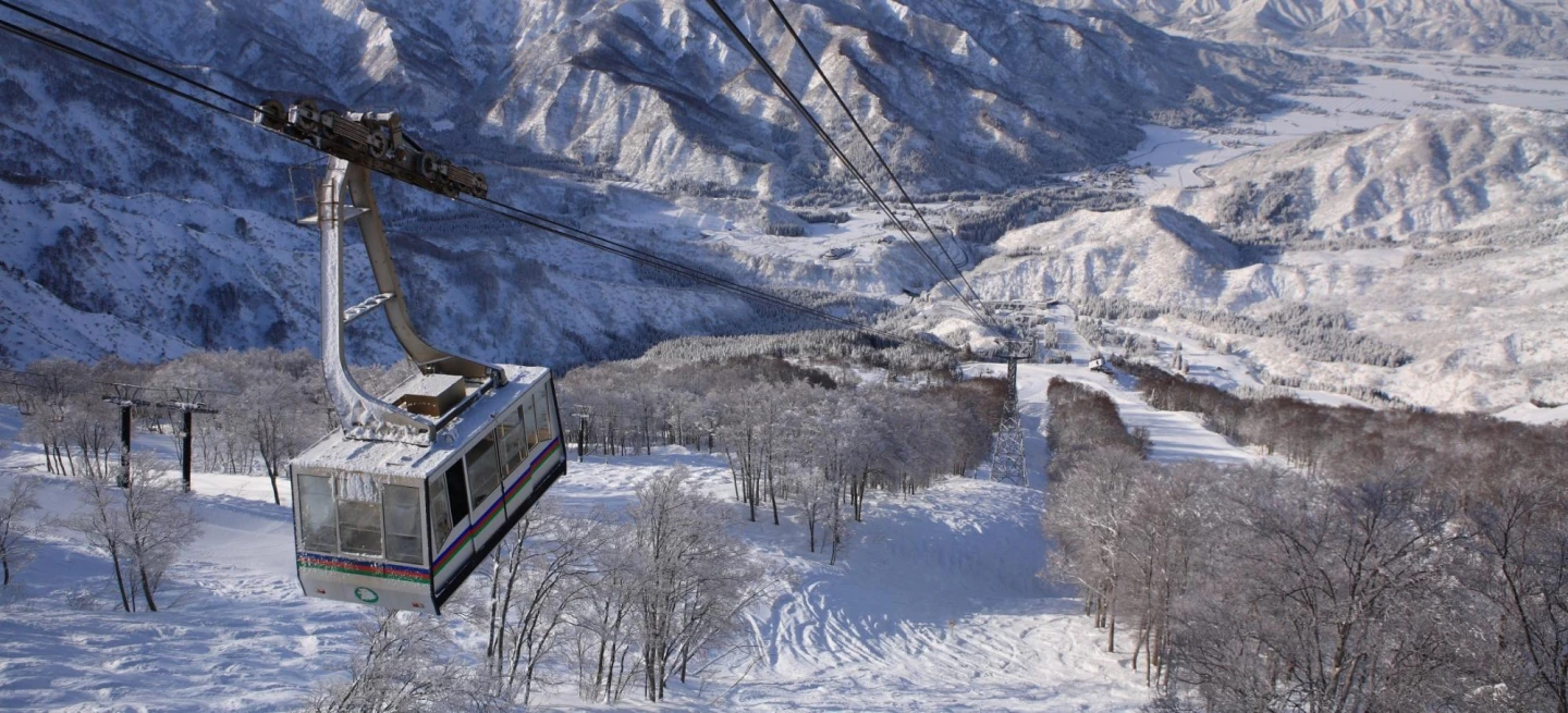 台男在內6名遊客新潟滑雪迷路受困！　急叩熟人報警求救待援