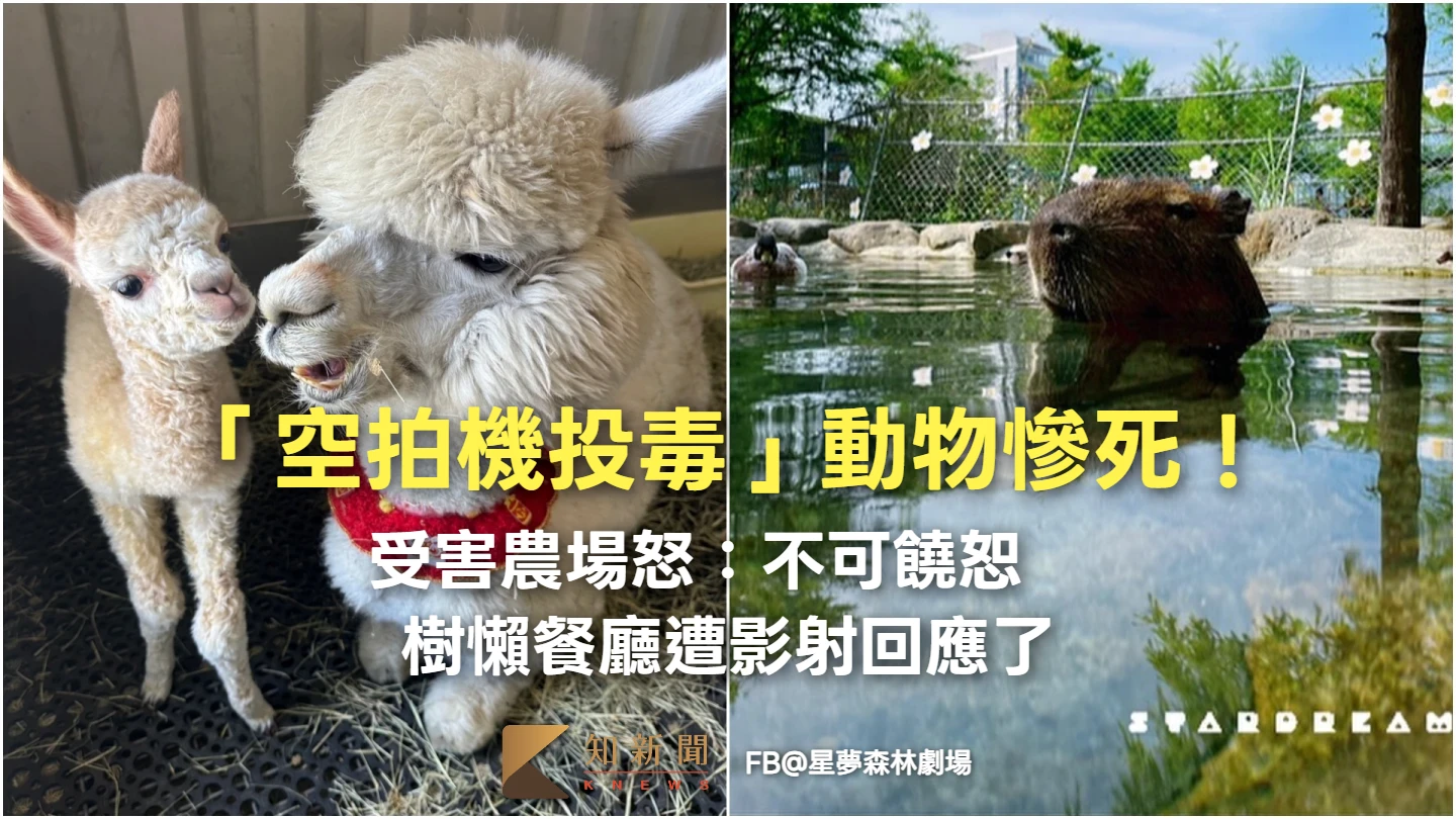 「空拍機投毒」動物慘死！受害農場怒：不可饒恕　樹懶餐廳遭影射回應了