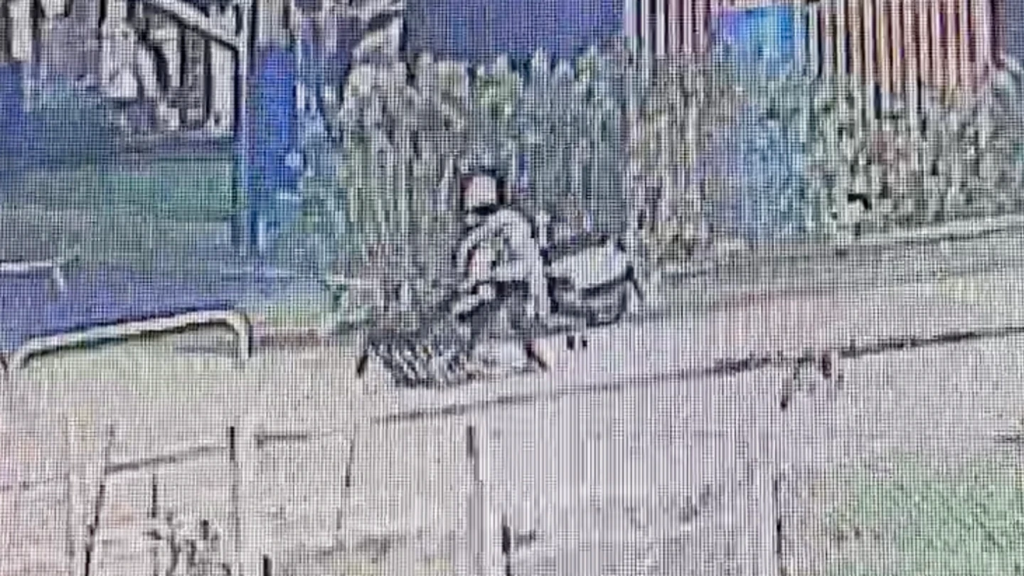 驚悚片｜婦公園跳土風舞遭猛砍！兇嫌IG預告殺人　行兇後逃國道被撞