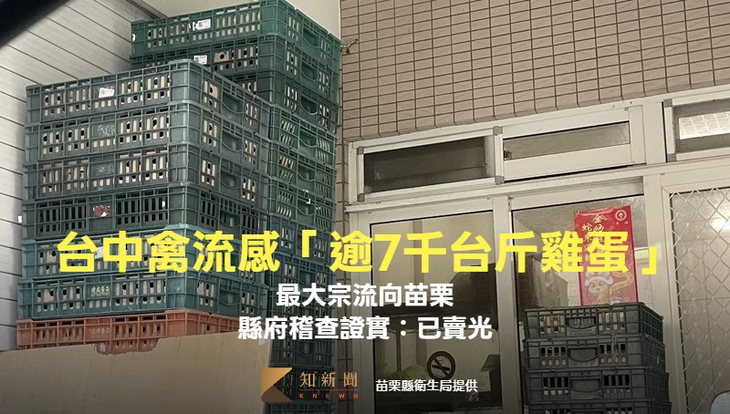 台中禽流感「逾7千台斤雞蛋」最大宗流向苗栗　縣府稽查證實：已賣光