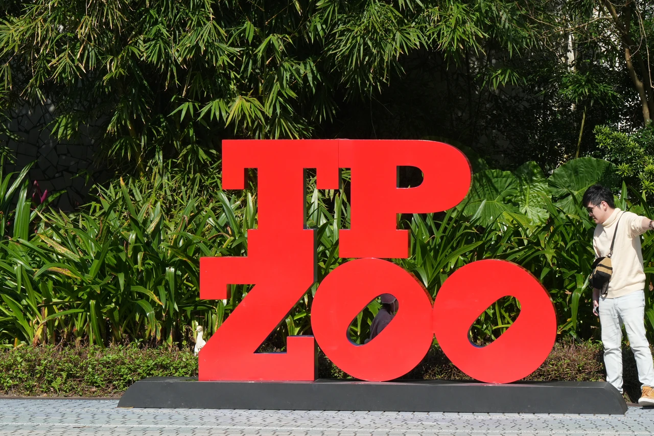 必踩點！台北走春全攻略　動物園、三層崎花海、秘境步道一次玩透