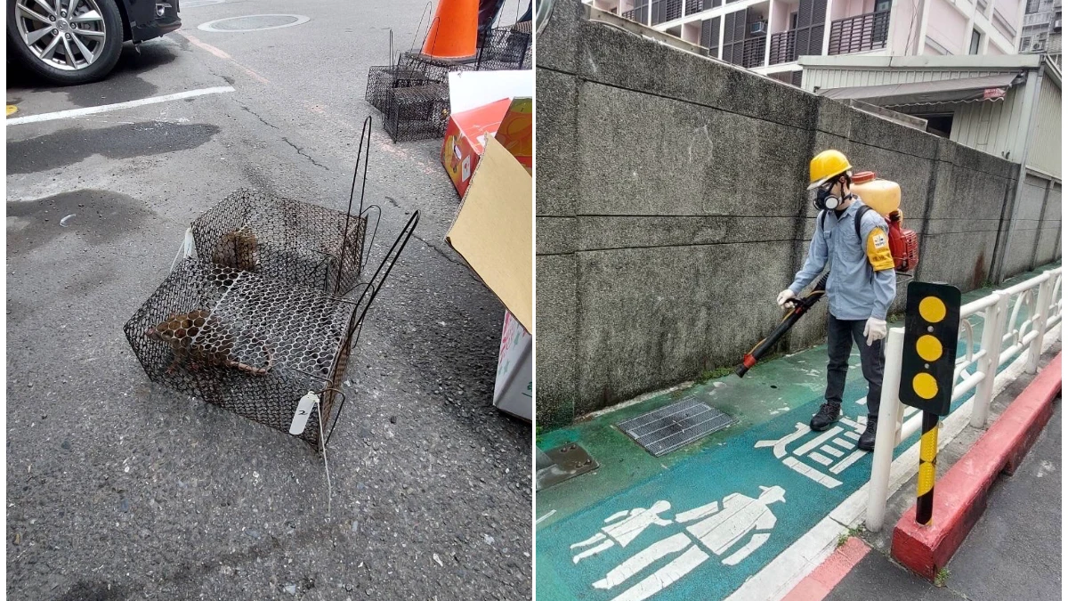 北市大安區爆漢他病毒！7旬翁發病8天亡　今年國內首例