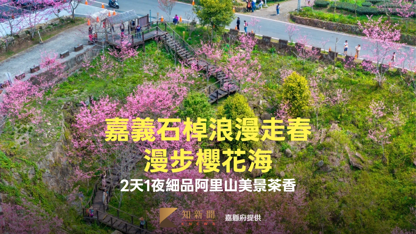 嘉義石棹浪漫走春！穿梭雲霧步道漫步櫻花海　2天1夜細品阿里山美景茶香