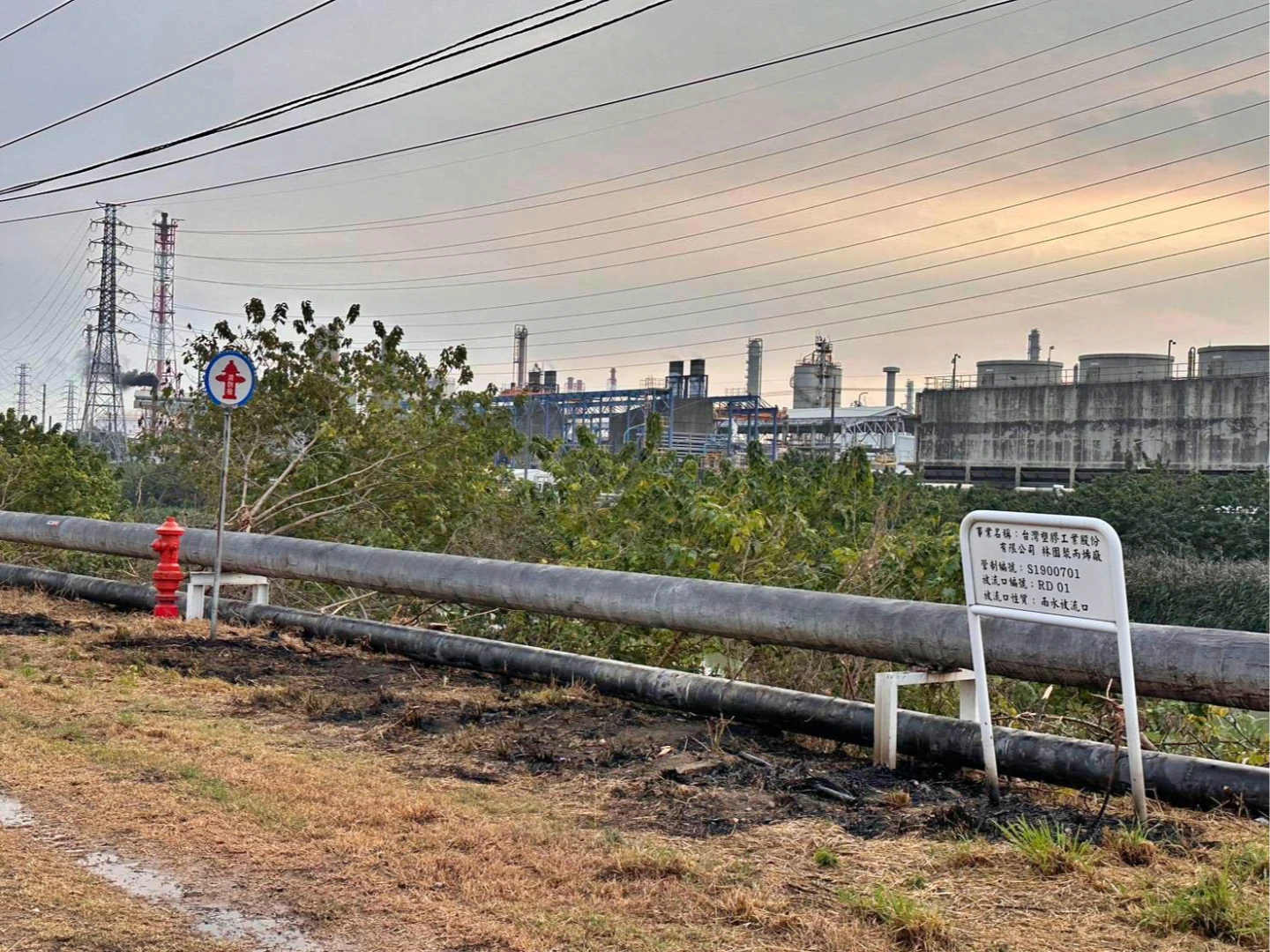 揮長桿捉綠鬣蜥！22歲男誤觸電線險喪命　左半身2度燒燙傷急送醫