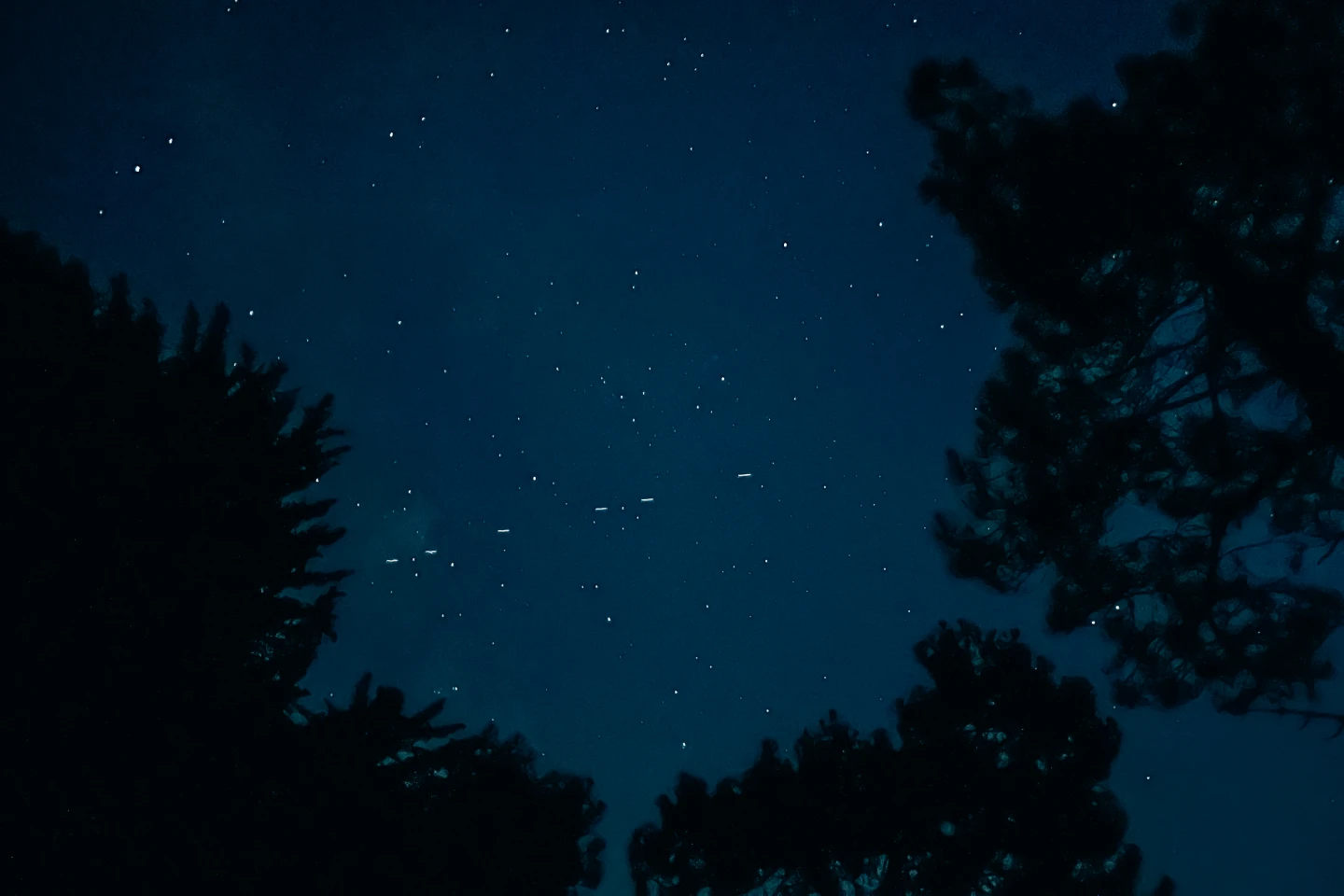 SpaceX申請發射100萬顆衛星　稱AI資料中心上太空更環保