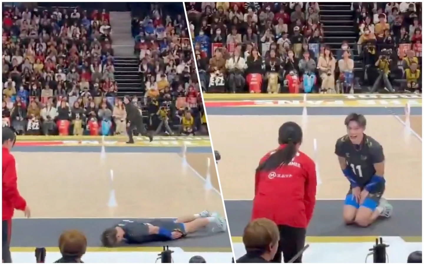 日本男排重砲誤傷人！球員「超高速土下座滑行」道歉　誠意爆表全場笑瘋