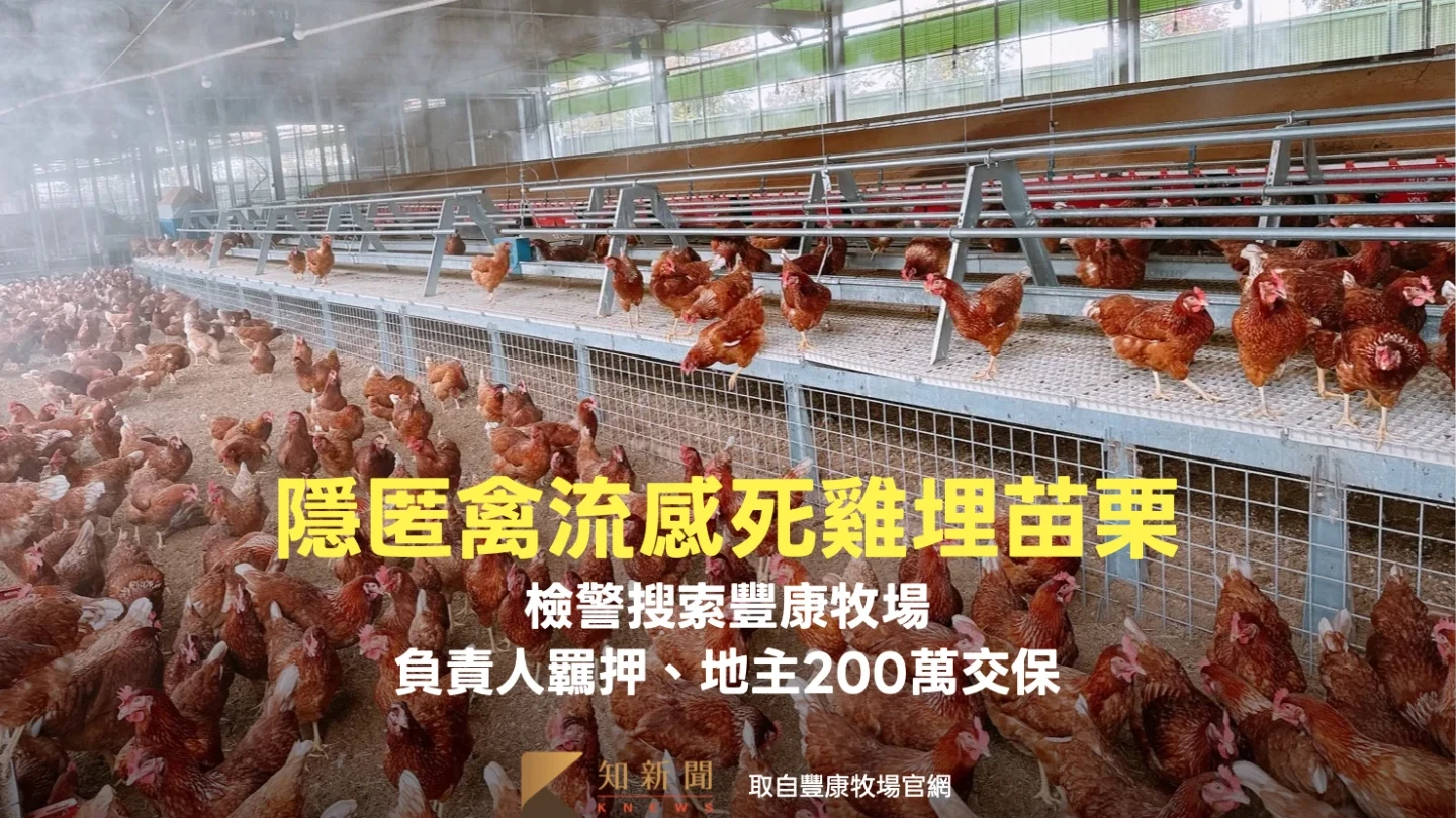 隱匿禽流感死雞埋苗栗！檢警搜索豐康牧場　負責人收押、地主200萬交保