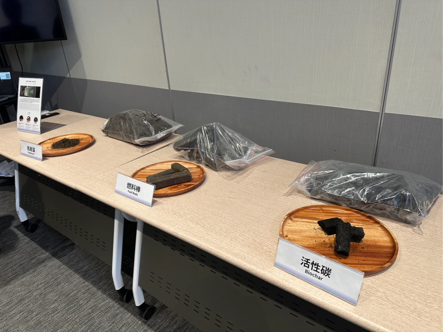 台灣技術助貝里斯解決馬尾藻危機　全球首創「藻變電」綠能示範案正式啟動