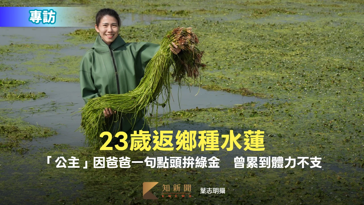 專訪｜23歲返鄉種水蓮！「公主」因爸爸一句點頭拚綠金　穿青蛙裝泡水曾累到體力不支
