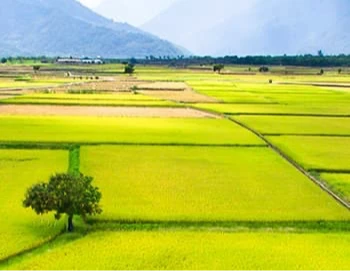 台糖助攻社宅再釋26處土地　分布苗栗以南8縣市