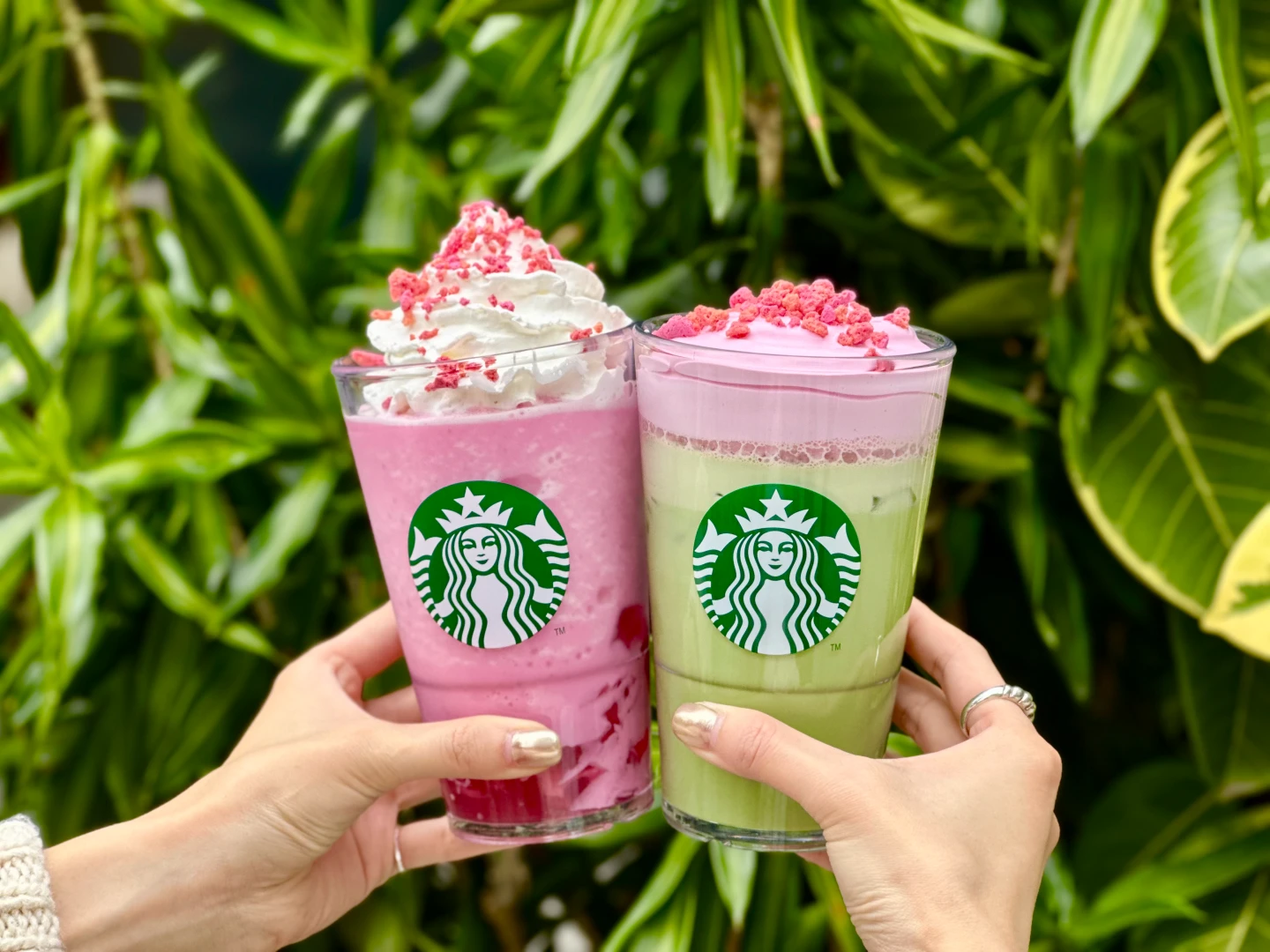 就是今天！星巴克草莓星冰樂、草莓抹茶那堤開賣　CoCo手搖飲買1送1