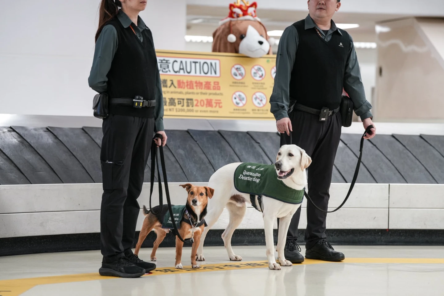 春節出國熱！卓榮泰巡視桃機防疫整備　喊話零容忍查處違規行為
