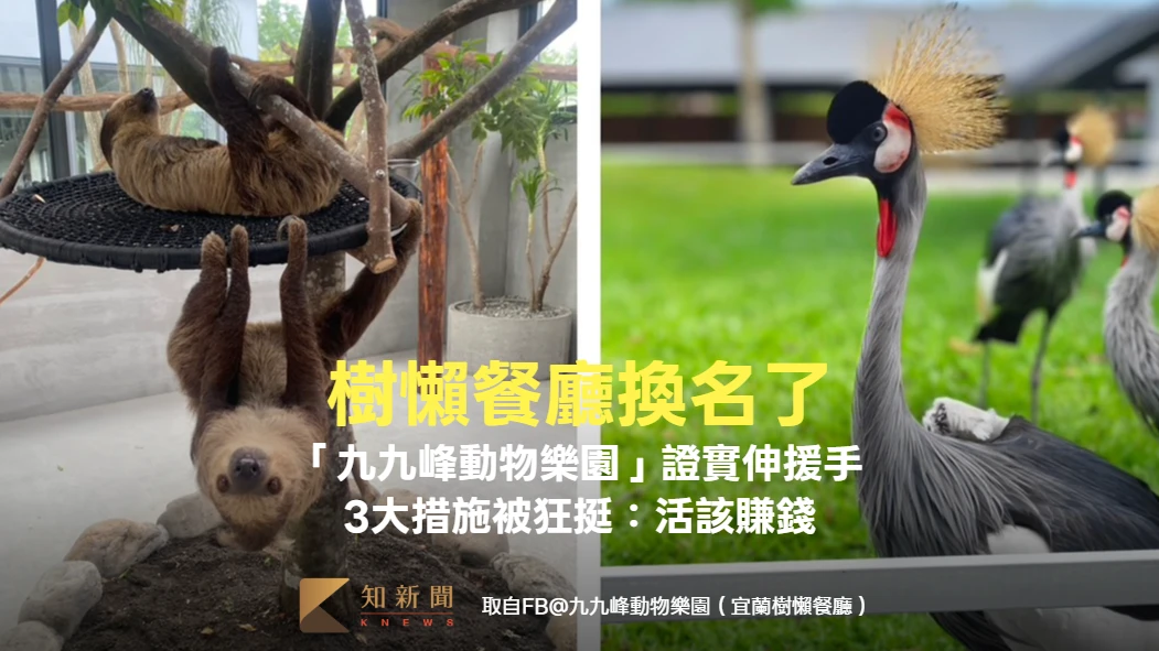 樹懶餐廳換名了！「九九峰動物樂園」證實伸援手　3大措施被狂挺：活該賺錢