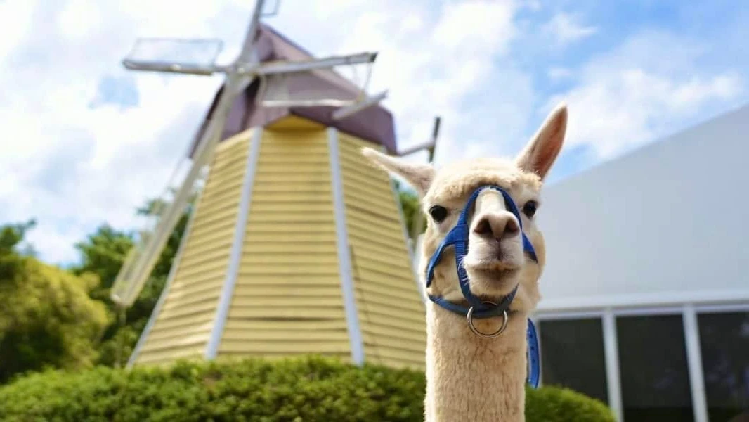 70年埔心牧場變三立影城！宣布「春節後休園」　網急問：以後還有動物嗎？