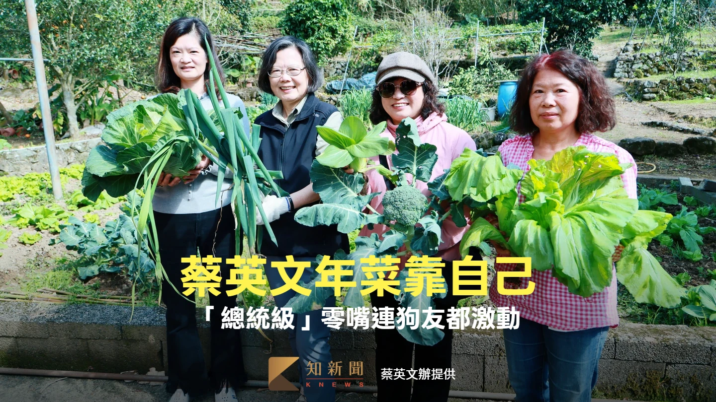 有片｜蔡英文年菜靠自己！蔥一拔不見了　「總統級」零嘴連狗友都激動